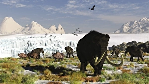 Woolly mammoths and woolly rhinos in a prehistoric landscape Woolly mammoths and woolly rhinos in a prehistoric landscape