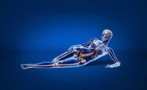 X-ray view of a woman laying down with skeletal bones superimposed X-ray view of a woman laying down with skeletal bones superimposed