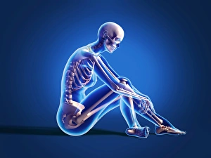 X-ray view of a woman sitting on floor with skeletal bones superimposed X-ray view of a woman sitting on floor with skeletal bones superimposed