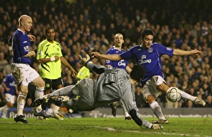 Football - Everton v Chelsea - Carling Cup Semi Final Second Leg - Goodison Park - 07/08 Football - Everton v Chelsea - Carling Cup Semi Final Second Leg - Goodison Park - 07/08