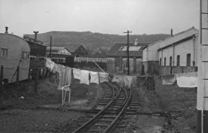 Rheidol Railway Print - Vale of Rheidol Railway Landscape Photo