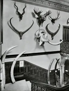 Corner of staircase at No. 6, Norfolk Street, Joseph Rodgers and Sons Ltd, cutlery manufacturers, 1911 Corner of staircase at No. 6, Norfolk Street, Joseph Rodgers and Sons Ltd, cutlery manufacturers, 1911