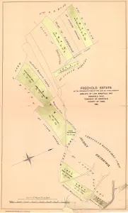 Freehold estate of the representatives of the late Mr Thomas Didsbury at Lower Bradfield, 1866 Freehold estate of the representatives of the late Mr Thomas Didsbury at Lower Bradfield, 1866