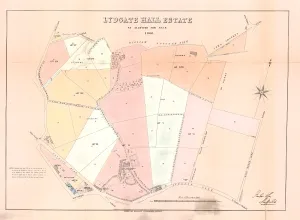 Plan of Lydgate Hall Estate as allotted for sale, 1860 Plan of Lydgate Hall Estate as allotted for sale, 1860