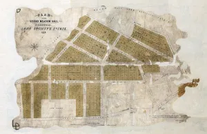 Plan of the second Meadow Hall Freehold Land Societys Estate, 1874 Plan of the second Meadow Hall Freehold Land Societys Estate, 1874