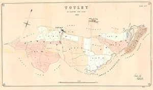 Plan of Totley as allotted for sale, 1859 Plan of Totley as allotted for sale, 1859