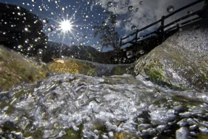 2012 Highlights Prints: Autumn Mountain Stream Print