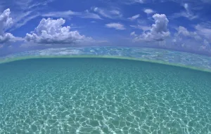 2012 Highlights Prints: Seven Mile Beach Shallow Water Print