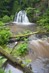 2020VISION 2 Prints: Waterfall with Fallen Tree Print, Scotland