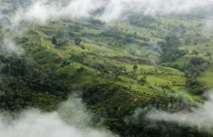 Aerial view of cloud forest cleared for pasture near to populations of Yellow-tailed woolly monkeys Aerial view of cloud forest cleared for pasture near to populations of Yellow-tailed woolly monkeys
