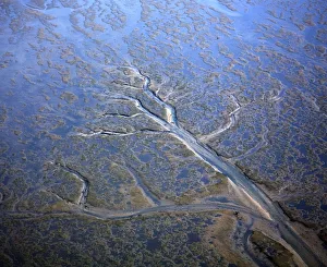 Aerial view of coastal landscape at low tide with channels and pools, Hallig, Germany Aerial view of coastal landscape at low tide with channels and pools, Hallig, Germany