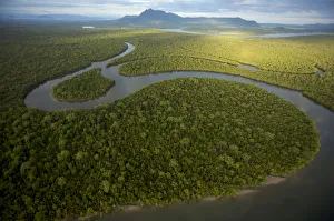 Aerial view of rivers and mangrove forest. Sarawak Mangrove Reserve, Sarawak, Borneo Aerial view of rivers and mangrove forest. Sarawak Mangrove Reserve, Sarawak, Borneo