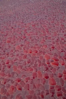 Aerial view of salt pans coloured red by cyanobacteria, Lake Natron, Rift Valley Aerial view of salt pans coloured red by cyanobacteria, Lake Natron, Rift Valley