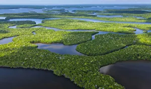 Aerial view over subtropical mangrove wetlands of the Everglades National Park. Florida Aerial view over subtropical mangrove wetlands of the Everglades National Park. Florida