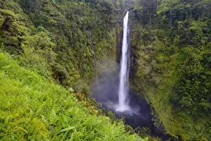 Akaka falls (422 foot) surrounded by vegetation, (much of which is non-native) Akaka Akaka falls (422 foot) surrounded by vegetation, (much of which is non-native) Akaka