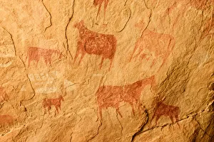 Ancient cave paintings depicting cattle. Ennedi Natural and Cultural Reserve Ancient cave paintings depicting cattle. Ennedi Natural and Cultural Reserve