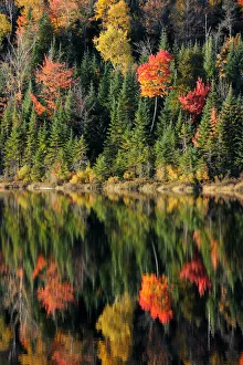 Autumn reflections on Modene Lake and forest. La Mauricie National Park, Quebec, Canada Autumn reflections on Modene Lake and forest. La Mauricie National Park, Quebec, Canada