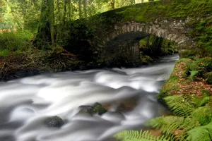 Bridge over the The River Dart near Buckland in the Moor, Dartmoor National Park, Devon Bridge over the The River Dart near Buckland in the Moor, Dartmoor National Park, Devon