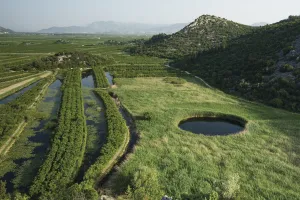 Cultivated part of the lower Neretva river delta with a sinkhole in marshland surrounded Cultivated part of the lower Neretva river delta with a sinkhole in marshland surrounded