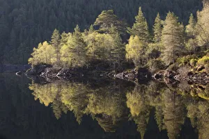 Dawn reflections in Loch Beinn a Mheadhoin, Glen Affric, Wester Ross, Highlands, Scotland Dawn reflections in Loch Beinn a Mheadhoin, Glen Affric, Wester Ross, Highlands, Scotland