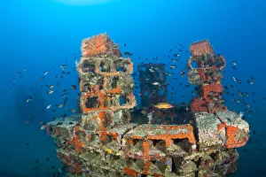One of the deeper artificial reefs surraunded by Damselfish (Chromis chromis) with a Comber One of the deeper artificial reefs surraunded by Damselfish (Chromis chromis) with a Comber