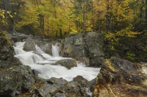 Ellis River downstream flowing over large rocks, White Mountain National Forest, New Hampshire Ellis River downstream flowing over large rocks, White Mountain National Forest, New Hampshire