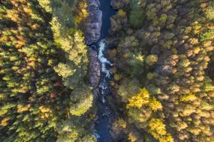 Falls of Truim running through autumnal woodland, Cairngorms National Park, Scotland Falls of Truim running through autumnal woodland, Cairngorms National Park, Scotland
