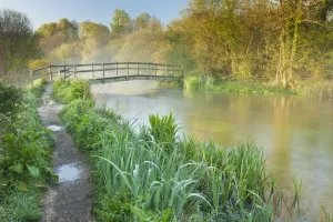 Hampshire Landscape Photography Prints: View of the River Itchen at dawn, Ovington, Hampshire, England, UK, May 2012