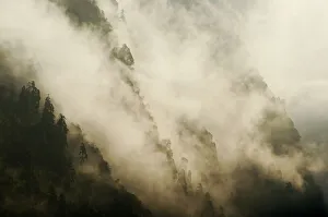 The forests of the Modi Khola river valley shrouded in fog. Annapurna Sanctuary, central Nepal The forests of the Modi Khola river valley shrouded in fog. Annapurna Sanctuary, central Nepal