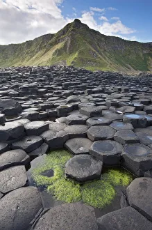 Giants Causeway, looking in to land, Causeway coast, Antrim county, Northern Ireland Giants Causeway, looking in to land, Causeway coast, Antrim county, Northern Ireland