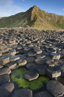 Giant's Causeway, looking in to land, Causeway coast, Antrim county, Northern Ireland Giant's Causeway, looking in to land, Causeway coast, Antrim county, Northern Ireland