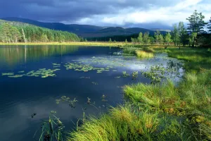 Glen Feshie, Cairngorm NP, Highland, Scotland, UK Glen Feshie, Cairngorm NP, Highland, Scotland, UK