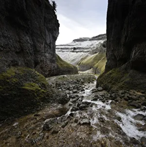 Gorge cut through Carboniferous Limestone, probably a result of a collapsed cave Gorge cut through Carboniferous Limestone, probably a result of a collapsed cave