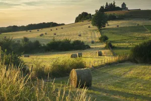Hay bales in the fields near Beaumont du Perigord, Pays de Bergerac, Dordogne, Aquitaine Hay bales in the fields near Beaumont du Perigord, Pays de Bergerac, Dordogne, Aquitaine