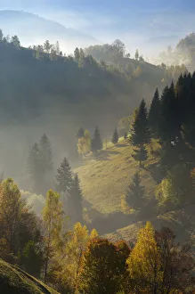 Hilly landscape in the morning light, Magura, Piatra Craiului National Park, Transylvania Hilly landscape in the morning light, Magura, Piatra Craiului National Park, Transylvania