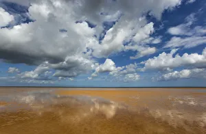Holkham beach at low tide, Norfolk, UK August Holkham beach at low tide, Norfolk, UK August