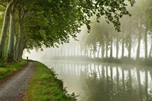 A jogger on the towpath of the Canal du Midi near Castelnaudary, Languedoc-Rousillon, France A jogger on the towpath of the Canal du Midi near Castelnaudary, Languedoc-Rousillon, France