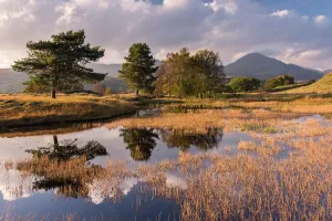 Kelly Hall Tarn, late evening light, The Lake District, Cumbria, UK. October 2016 Kelly Hall Tarn, late evening light, The Lake District, Cumbria, UK. October 2016