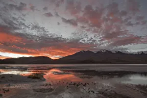 Laguna Hedionda at sunrise, between Polques and Quetena, Altiplano, Bolivia, April 2017 Laguna Hedionda at sunrise, between Polques and Quetena, Altiplano, Bolivia, April 2017