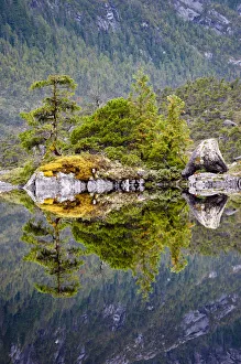 Lake surrounded by temperate rainforest, Campania Island, Great Bear Rainforest Lake surrounded by temperate rainforest, Campania Island, Great Bear Rainforest