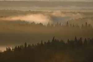 Landscape of the Virgin Komi Forests UNESCO World Heritage site at sunrise Landscape of the Virgin Komi Forests UNESCO World Heritage site at sunrise