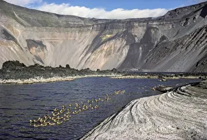 Mineral lake with White-cheeked pintails (Anas bahamensis) during quiet volcanic period Mineral lake with White-cheeked pintails (Anas bahamensis) during quiet volcanic period
