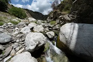 Southern Europe Mountain Scenery Prints: Mountain stream at Ponte Vecchio per Rogudi