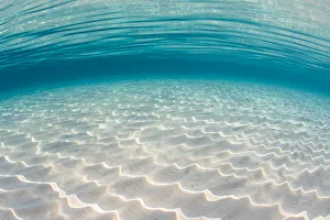 Patters of sunlight on a shallow sandy seabed. North Sound, Grand Cayman, Cayman Islands Patters of sunlight on a shallow sandy seabed. North Sound, Grand Cayman, Cayman Islands