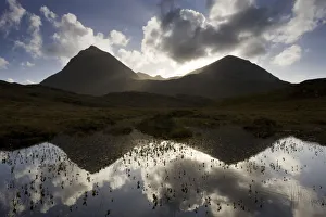Quinag (Sail Ghorm and Sail Gharbh) and moorland pool, Assynt, Sutherland, NW Scotland, UK, October Quinag (Sail Ghorm and Sail Gharbh) and moorland pool, Assynt, Sutherland, NW Scotland, UK, October