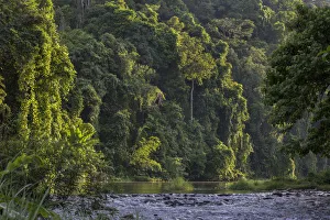Rainforest and river outside the Batak village of Sitio Manggapin in Cleopatra's Rainforest and river outside the Batak village of Sitio Manggapin in Cleopatra's