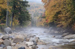 River running through misty autumn forest, White Mountain National Forest, New Hampshire River running through misty autumn forest, White Mountain National Forest, New Hampshire