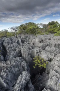 Rock formations at Tsingy Maeva, Ankarana NP, Madagascar Rock formations at Tsingy Maeva, Ankarana NP, Madagascar