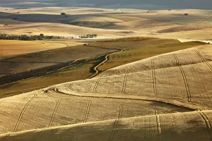 Rolling farmland in the Overberg region near Villiersdorp, Western Cape, South Africa Rolling farmland in the Overberg region near Villiersdorp, Western Cape, South Africa