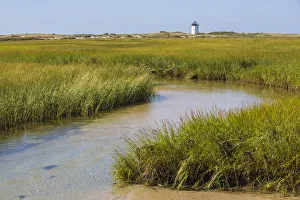 Salt marsh cord grass (Spartina alterniflora) on shore of Cape Cod, with Long Point Salt marsh cord grass (Spartina alterniflora) on shore of Cape Cod, with Long Point